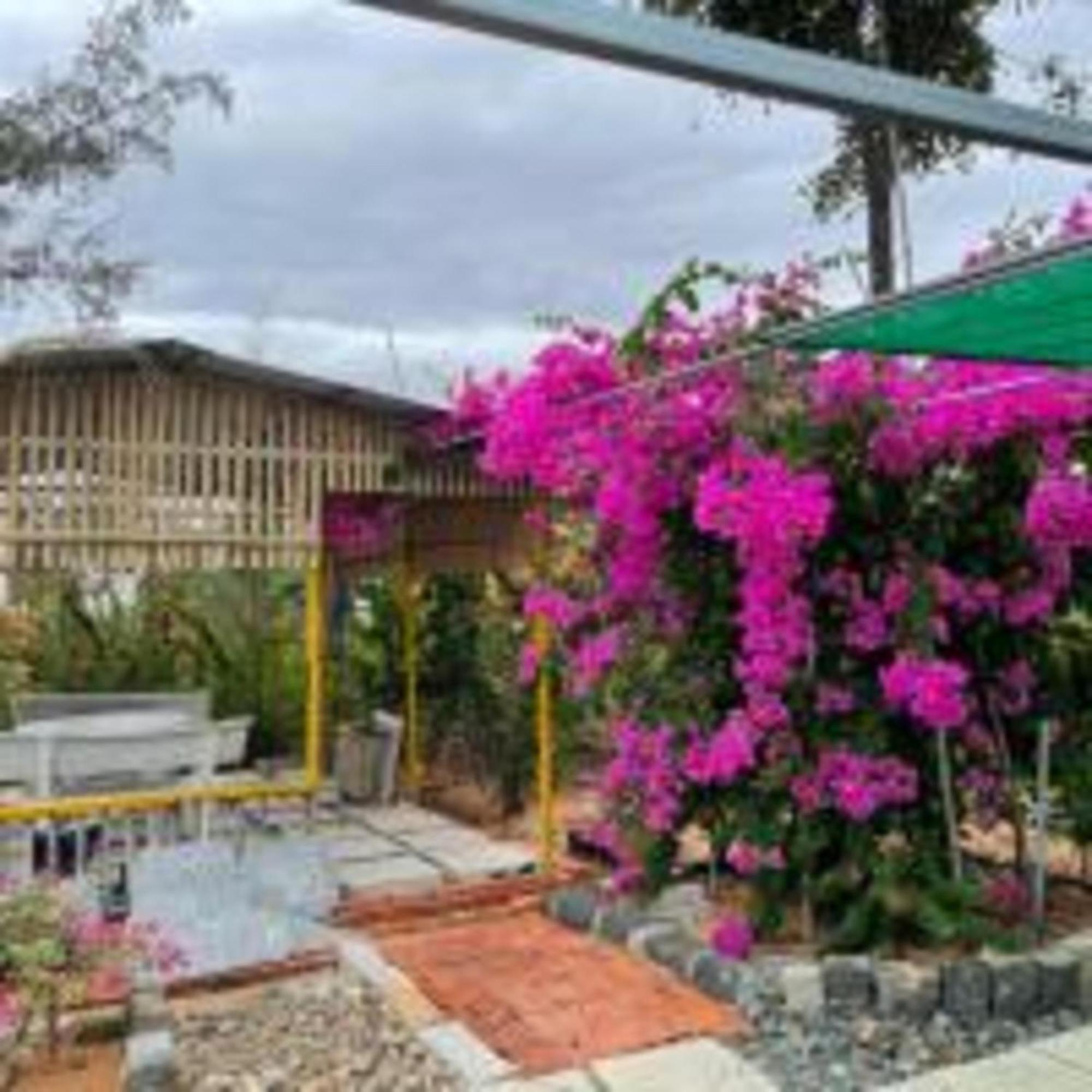 Duc Luu Quang Hotel Binh Thuan Tuy Phong Buitenkant foto
