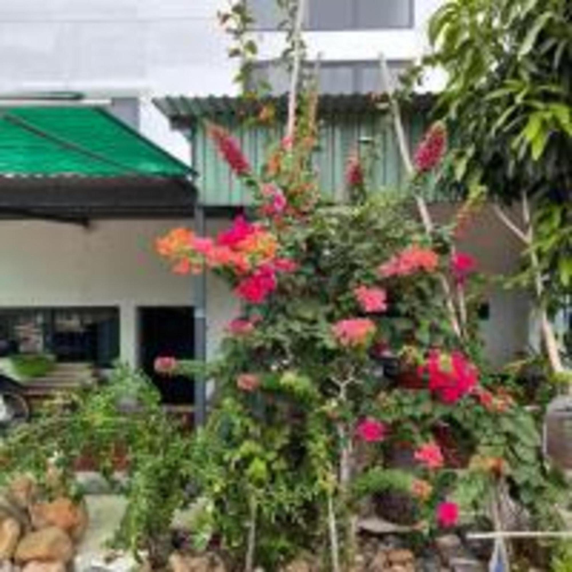 Duc Luu Quang Hotel Binh Thuan Tuy Phong Buitenkant foto