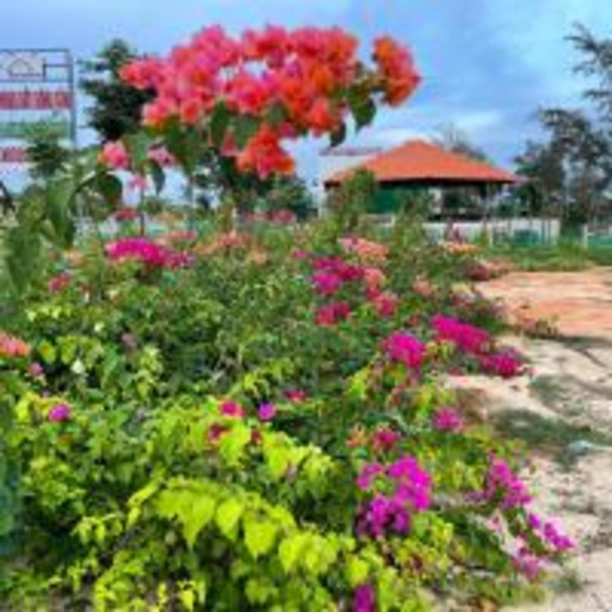 Duc Luu Quang Hotel Binh Thuan Tuy Phong Buitenkant foto