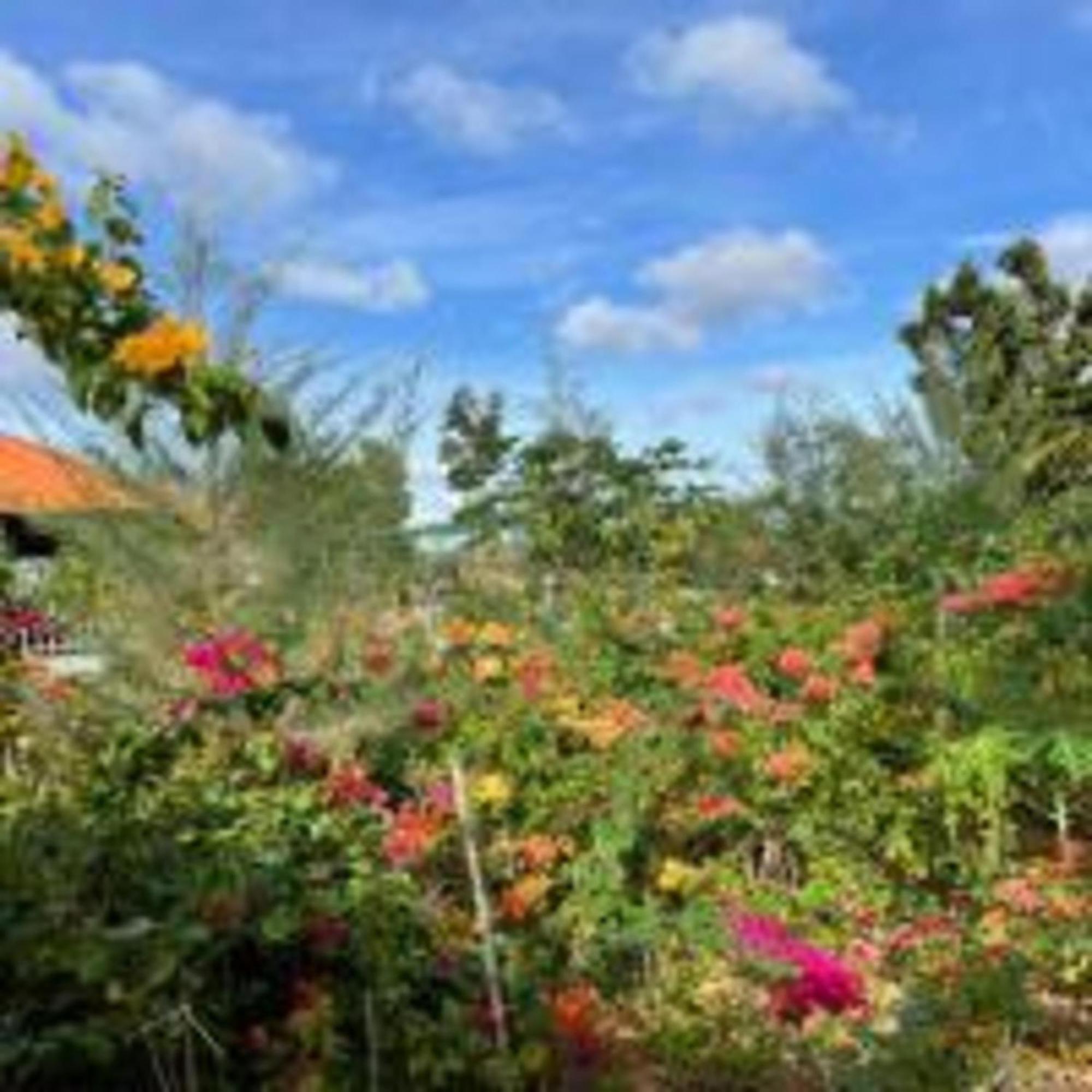 Duc Luu Quang Hotel Binh Thuan Tuy Phong Buitenkant foto