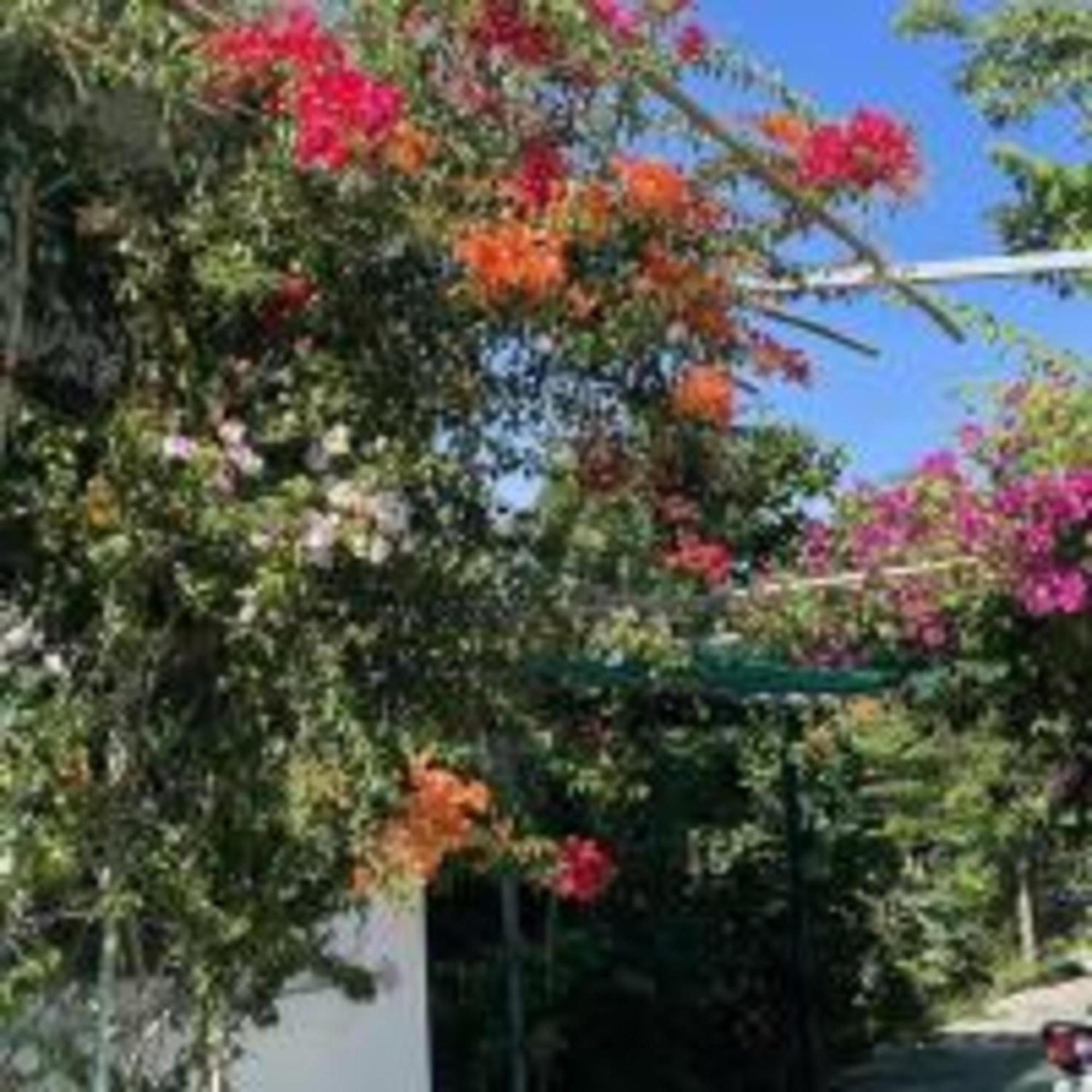 Duc Luu Quang Hotel Binh Thuan Tuy Phong Buitenkant foto